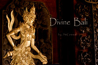 Divine Bali